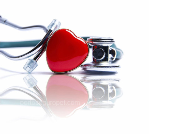 Somos a Health 4 Pet somos a health 4 pet